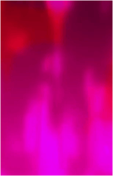 Image 27