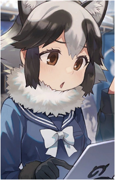 Raccoon Dog