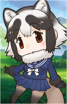 Raccoon Dog's image