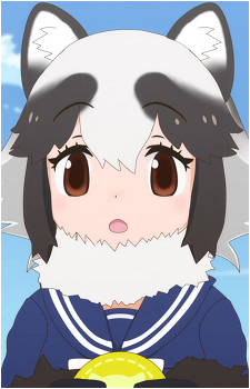 Raccoon Dog