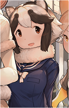 Raccoon Dog