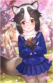 Raccoon Dog