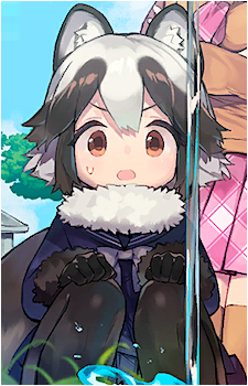 Raccoon Dog