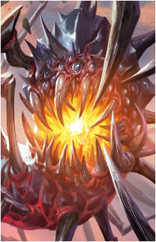 Obosh's image