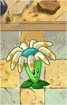 Bloomerang's image