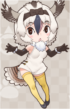 Laughing Kookaburra