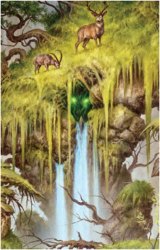 Animar's image