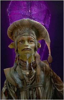 The Librarian's image