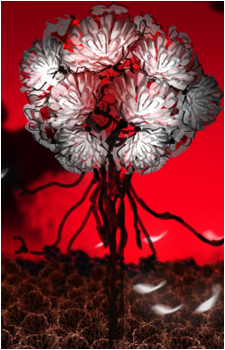 Drenched Gossypium's image