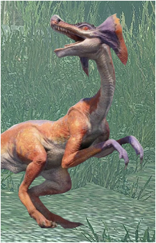 Jaggi's image