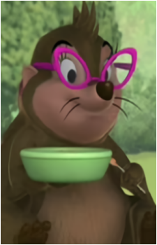 Porcupine's image