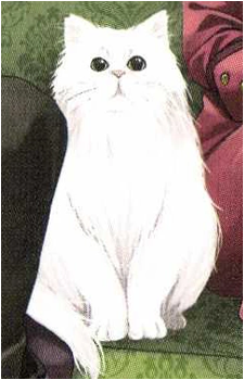 Diana {Umineko}