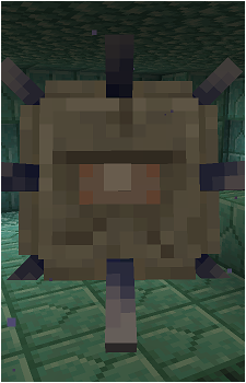 Elder Guardian's image
