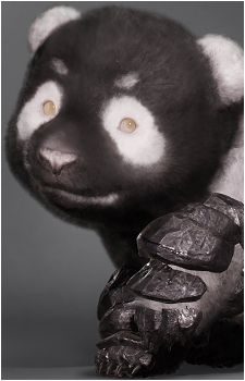 Shitieshou's image