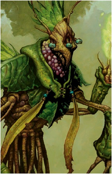 Molimo's image