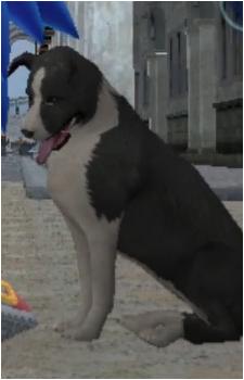 Pele, the Beloved Dog's image