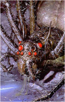Shelob