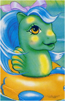 Seashore's image