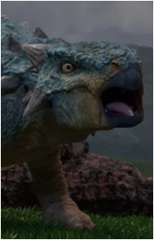 Image 4 Image 4