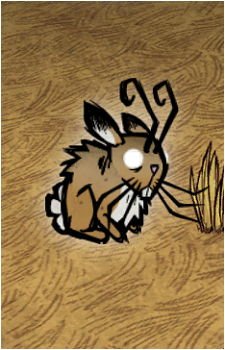 Rabbit's image