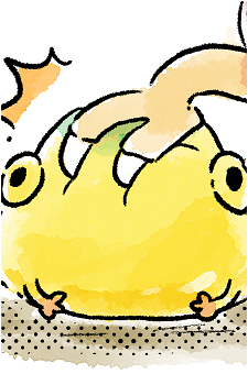 Yellow Wollyhop
