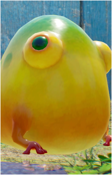 Yellow Wollyhop