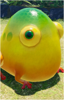 Yellow Wollyhop