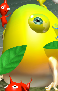Yellow Wollyhop