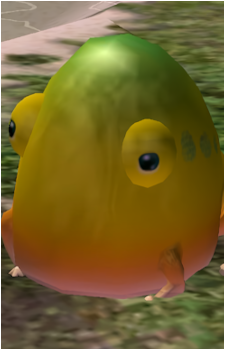Yellow Wollyhop