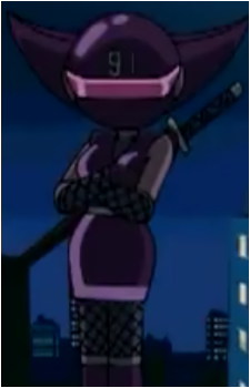 E-91 Lady Ninja's image