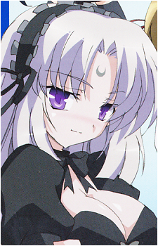 Image 7 Image 7