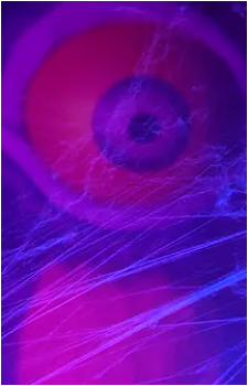 Blinky's image
