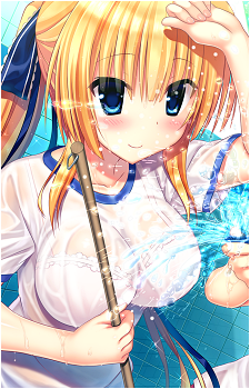 Image 22