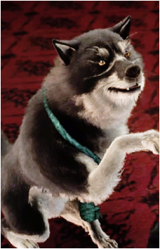 Umbra {FF}'s image