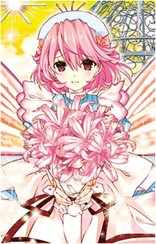 The GrandflowerFairy Nerine's image