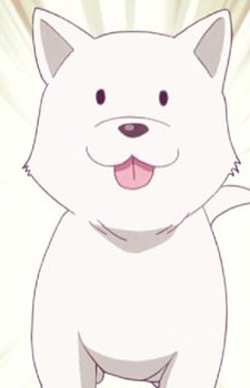Dog's image