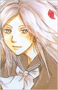 Image 3 Image 3