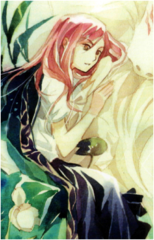 Reiko Natsume's image