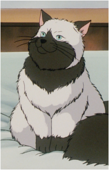 Admiral's image