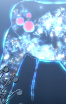 Celestial {HS}