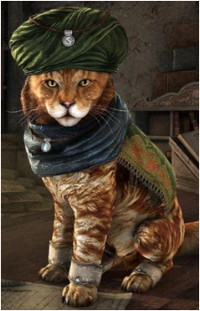 Fezez's image