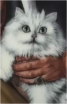 Ernst Stavro Blofeld's Cat's image