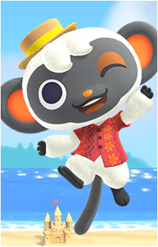 Niko's image