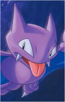 Image 37