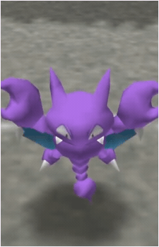 Image 43
