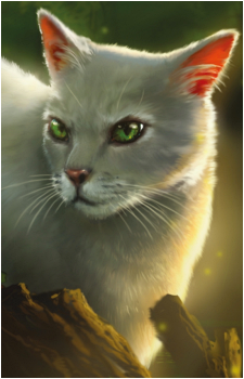 Needletail's image