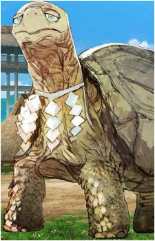 Nameless Turtle's image
