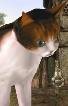 Link (Cat)'s image