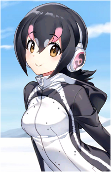 Humboldt Penguin