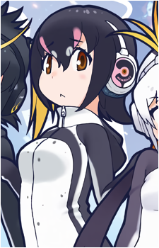Humboldt Penguin